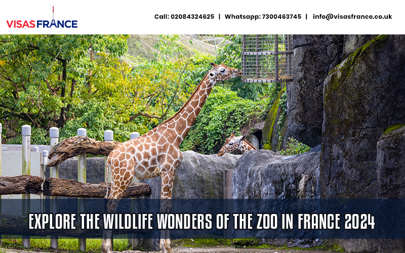 Zoo in France 2024